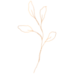 手绘花藤花纹