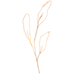手绘花藤花纹
