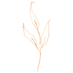 手绘花藤花纹