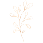 手绘花藤花纹