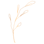 手绘花藤花纹