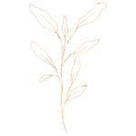 手绘花藤花纹