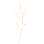 手绘花藤花纹