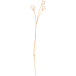 手绘花藤花纹