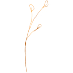 手绘花藤花纹