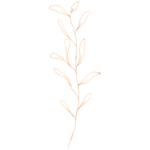 手绘花藤花纹