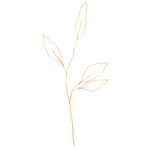 手绘花藤花纹