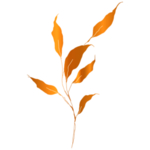 手绘花藤花纹