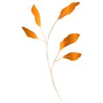 手绘花藤花纹