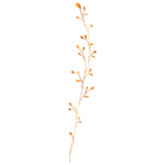 手绘花藤花纹