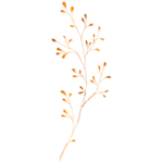 手绘花藤花纹