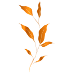 手绘花藤花纹