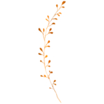 手绘花藤花纹