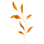 手绘花藤花纹