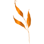 手绘花藤花纹