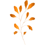 手绘花藤花纹