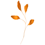 手绘花藤花纹
