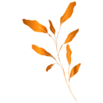 手绘花藤花纹