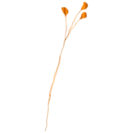 手绘花藤花纹