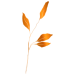 手绘花藤花纹