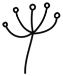 手绘花藤花纹