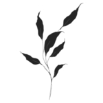 手绘花藤花纹