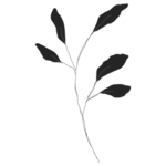 手绘花藤花纹
