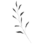 手绘花藤花纹