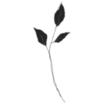 手绘花藤花纹