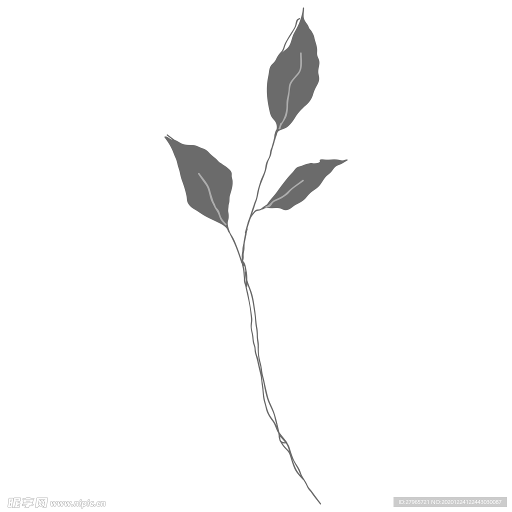 手绘花藤花纹