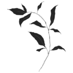 手绘花藤花纹