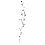 手绘花藤花纹