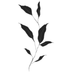 手绘花藤花纹