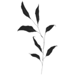 手绘花藤花纹