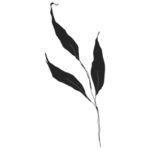 手绘花藤花纹