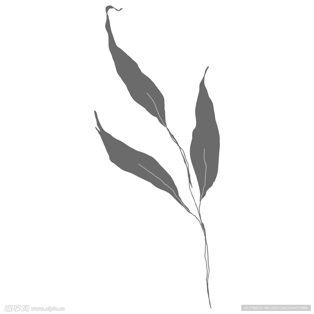 手绘花藤花纹