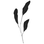 手绘花藤花纹
