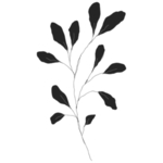 手绘花藤花纹