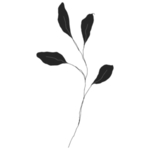 手绘花藤花纹