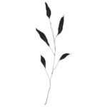 手绘花藤花纹