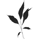 手绘花藤花纹