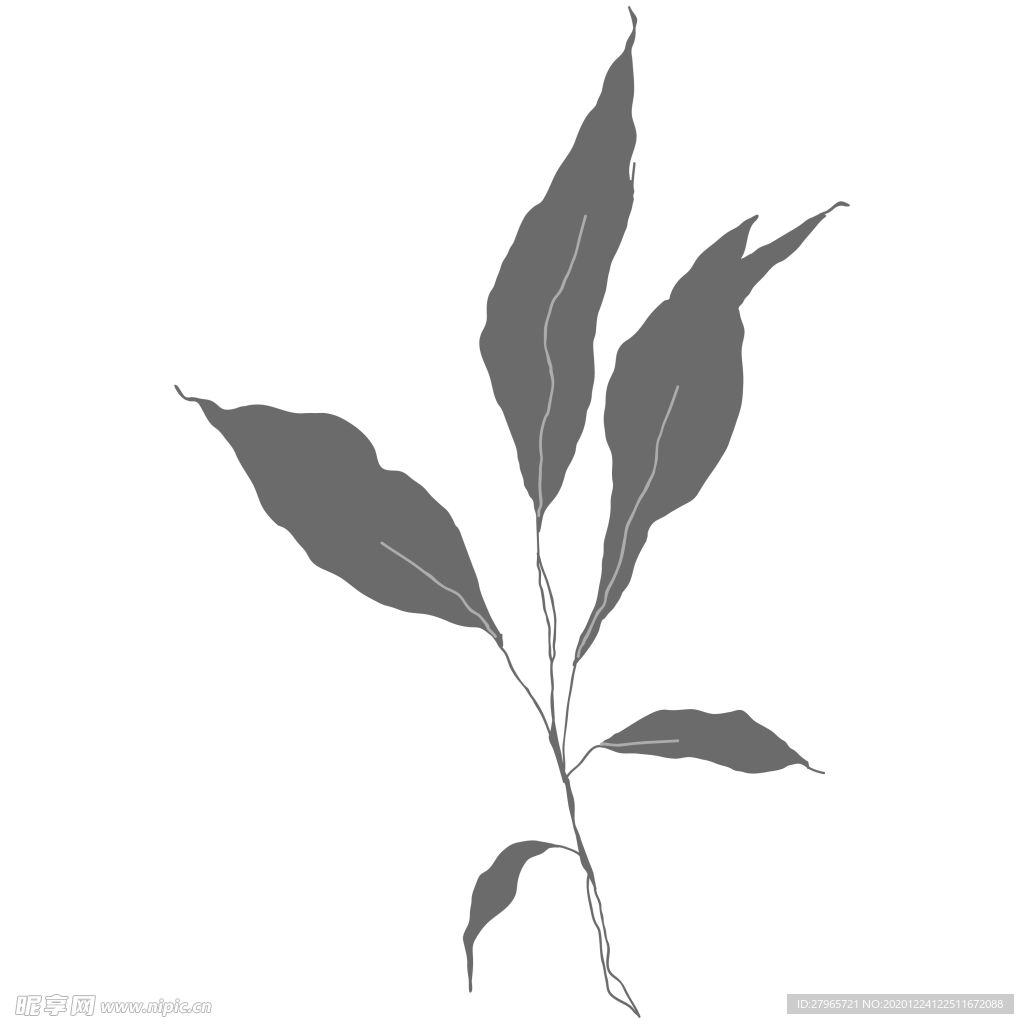 手绘花藤花纹