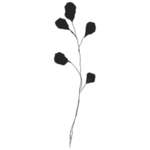 手绘花藤花纹