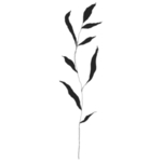 手绘花藤花纹