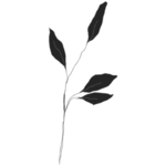 手绘花藤花纹