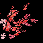 装饰梅花