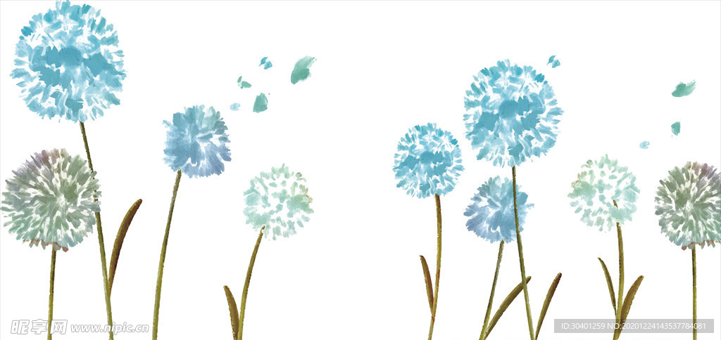 蒲公英