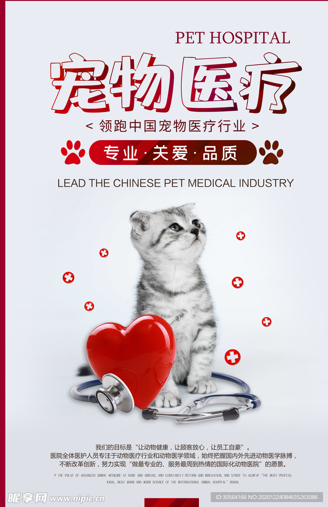 宠物医疗活动宣传海报素材