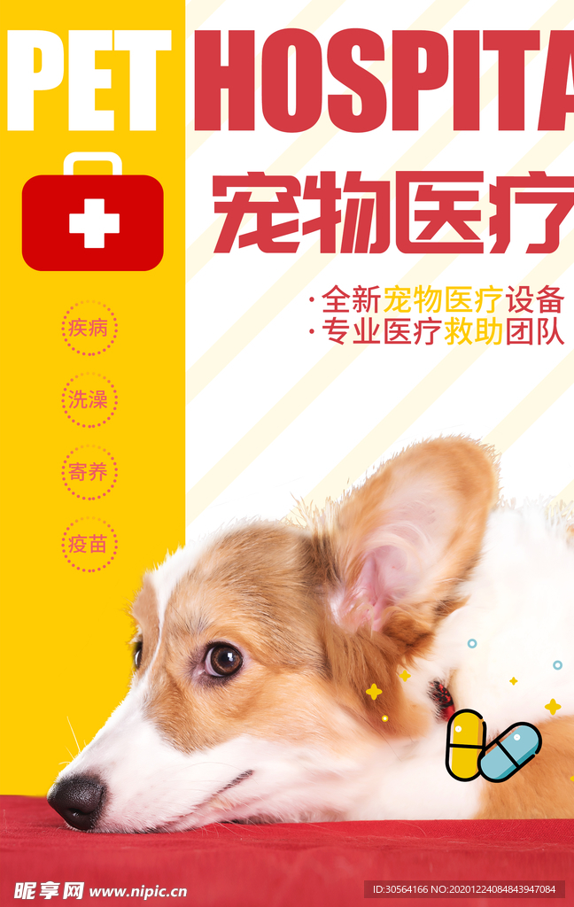 宠物医疗活动宣传海报素材