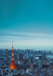 城市
